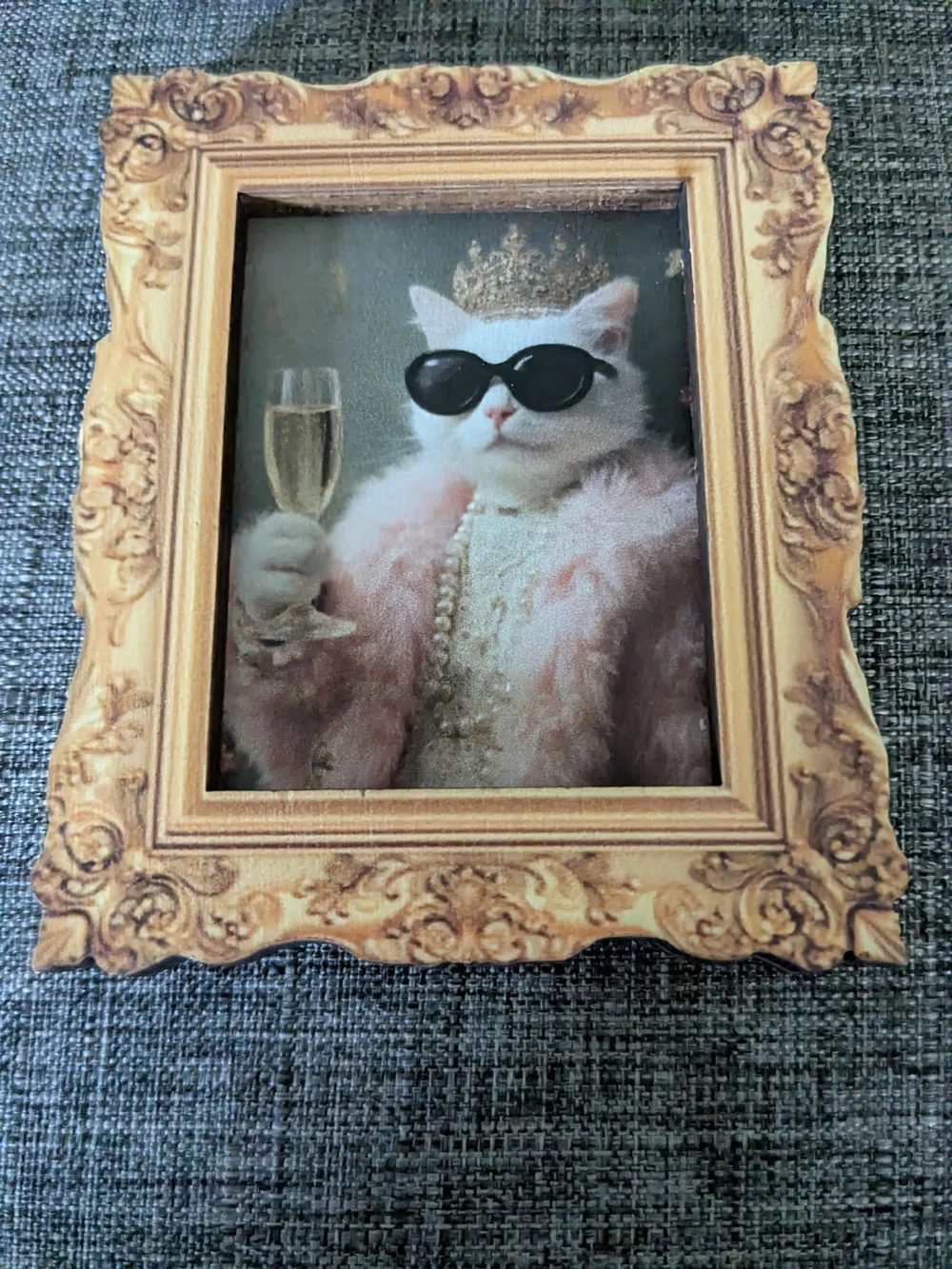 N/A charming cat